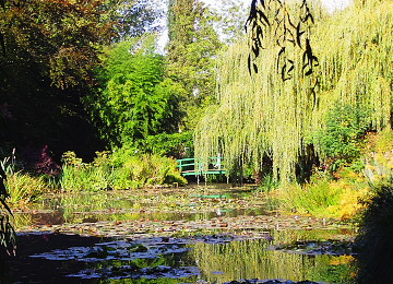 garten2.jpg
